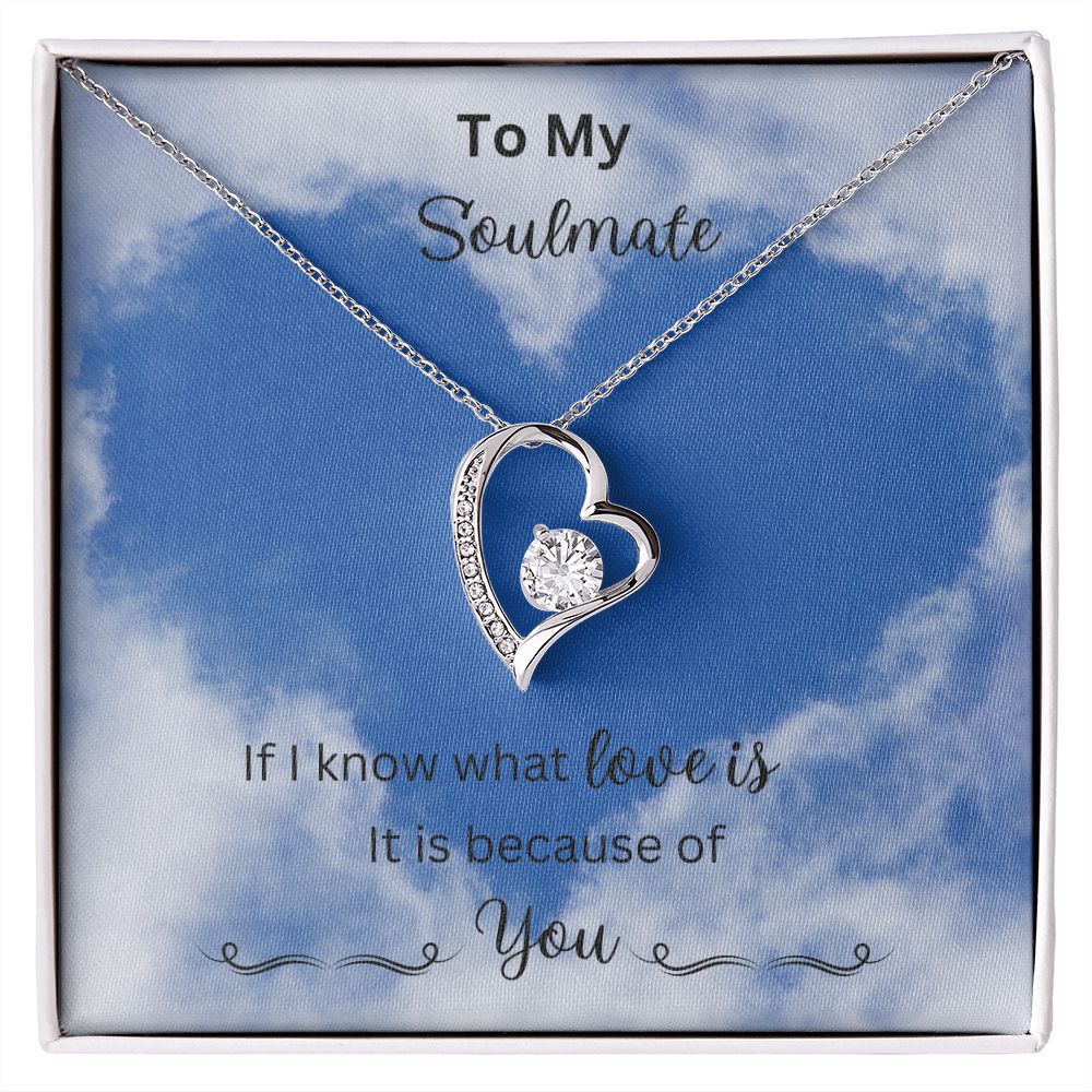 Forever Love Necklace. Soulmate Gift, Mother's Day Gift, Wife Necklace,  Mother's Day Gift From Husband, Mother’s Day Gift From Spouse, Wife Birthday Gift, Just Because Gift to Wife, Birthday Gift, Anniversary Gift