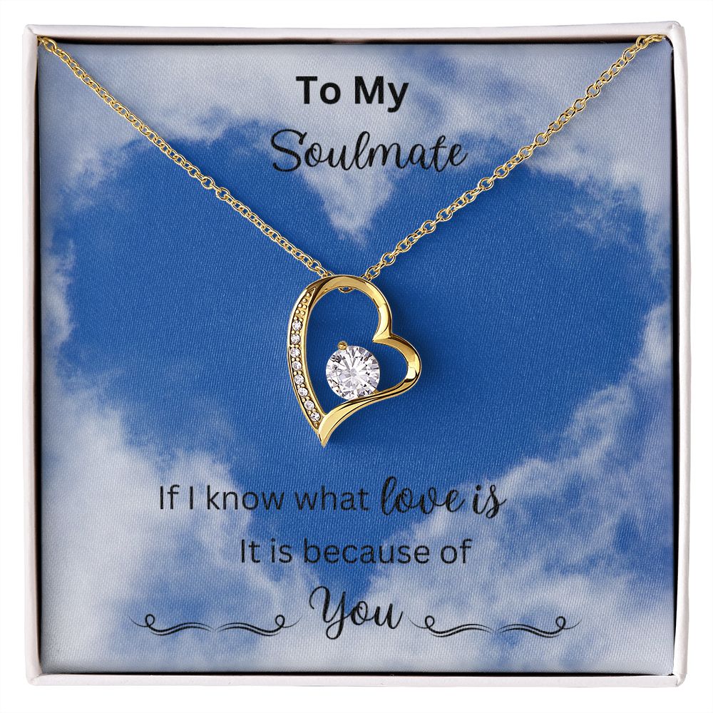 Forever Love Necklace. Soulmate Gift, Mother's Day Gift, Wife Necklace,  Mother's Day Gift From Husband, Mother’s Day Gift From Spouse, Wife Birthday Gift, Just Because Gift to Wife, Birthday Gift, Anniversary Gift